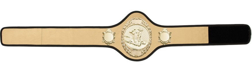 MMA CHAMPIONSHIP BELT-PRO286/G/MMAG-10+ COLOURS